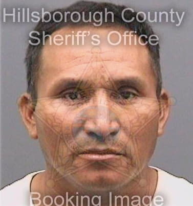 Jimenez Mateo - Hillsborough County, FL 