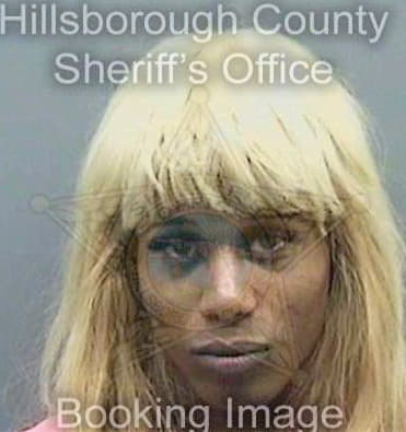 Mcdaniels Michael - Hillsborough County, FL 