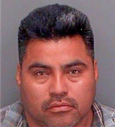 Mendoza Porfirio - Pinellas County, FL 
