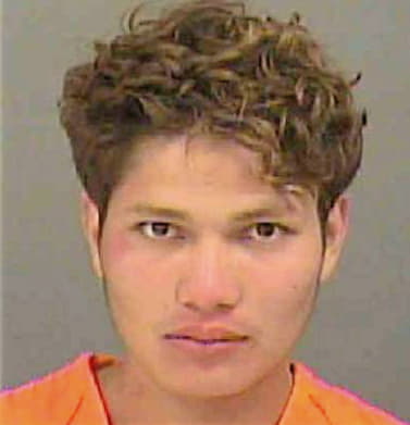Santos-Solorzano Ennio - Mecklenburg County, NC 