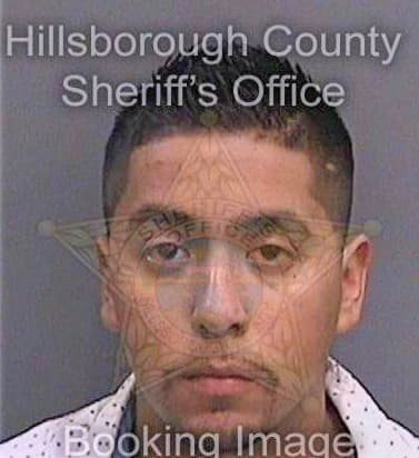 Antunez Omar - Hillsborough County, FL 