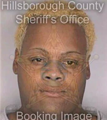Threinen Van - Hillsborough County, FL 