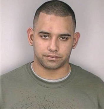 Arguelles Alex - Hillsborough County, FL 