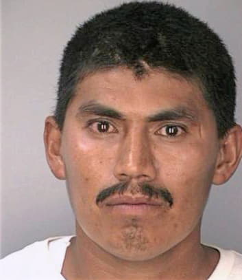 Garciaallellandea Jorge - Hillsborough County, FL 