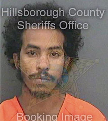 Delgado Carlos - Hillsborough County, FL 