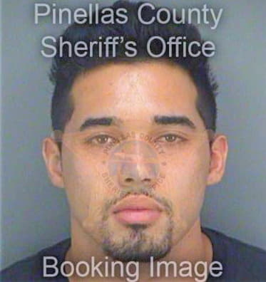 Rodriguez Joseph - Pinellas County, FL 