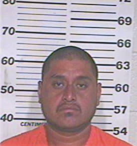 Castillo Arturo - Hidalgo County, TX 