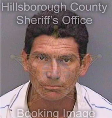 Oseguera Fredy - Hillsborough County, FL 