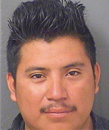 Chavezchilel Luis - PalmBeach County, FL 