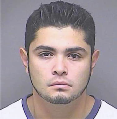 Heisner Carlos - Denton County, TX 