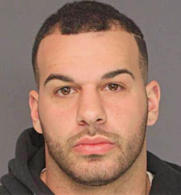 Rodrigues Mario - Essex County, NJ 