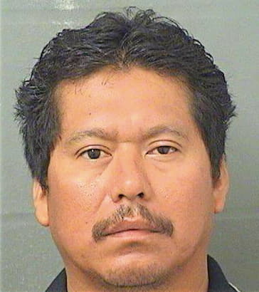 Reyesmenbez Ubaldo - PalmBeach County, FL 