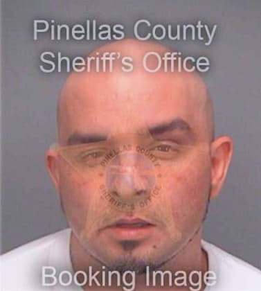 Egulf Kevin - Pinellas County, FL 