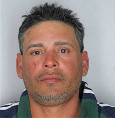 Garay Luis - Hillsborough County, FL 