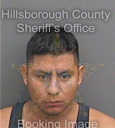 Venturacruz Reynaldo - Hillsborough County, FL 