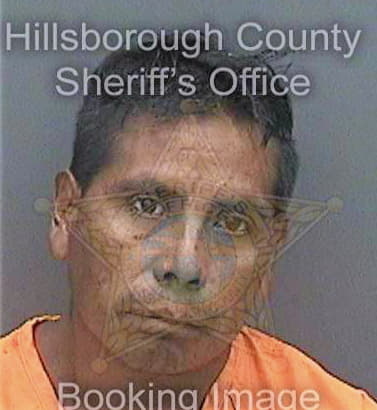 Velazquezramos Concepcion - Hillsborough County, FL 