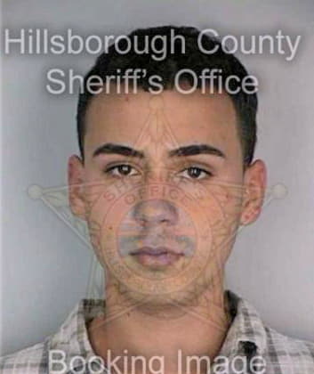 Pringle Douglas - Hillsborough County, FL 
