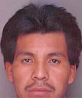 Lopes Estevan - Polk County, FL 