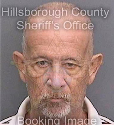 Hernandez Hugo - Hillsborough County, FL 