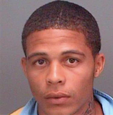 Felice John - Pinellas County, FL 