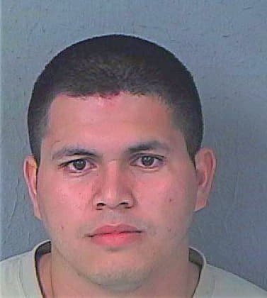 Delatorre Michael - Hernando County, FL 