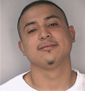 Sanchez Adrian - Hillsborough County, FL 
