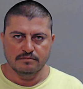 Hernandez Ernesto - Hidalgo County, TX 