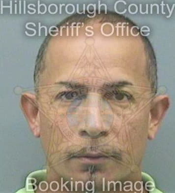 Roachlee Julio - Hillsborough County, FL 
