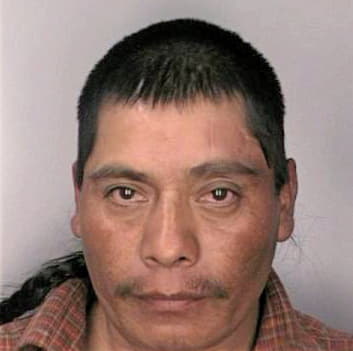 Garciagarcia Pascual - Hillsborough County, FL 