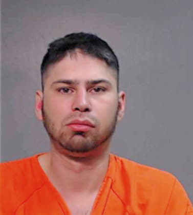 Alvarez Baldemar - Hidalgo County, TX 