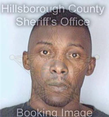 Baldwin Calvin - Hillsborough County, FL 