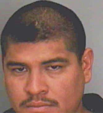 Reina Cesar - Polk County, FL 