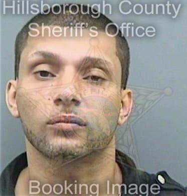 Reyes Timothy - Hillsborough County, FL 
