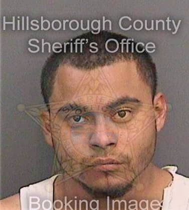 Rosales Antonio - Hillsborough County, FL 