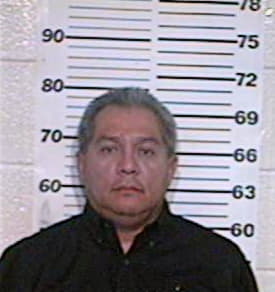 Hernandez Gary - Hidalgo County, TX 