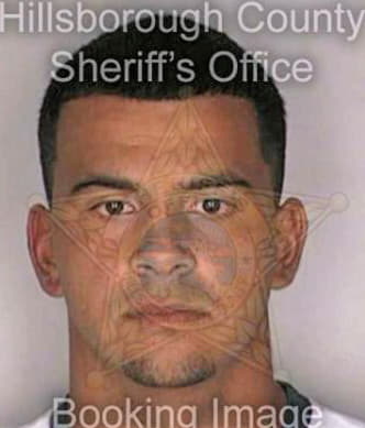 Perez Joel - Hillsborough County, FL 