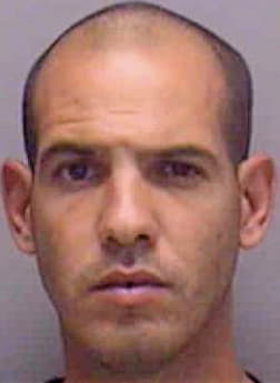 Fernandez Jose - Lee County, FL 