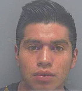 Alverado Agustin - Lee County, FL 