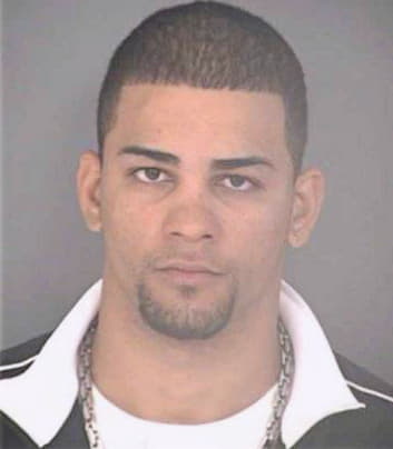 Lopez Luis - Hillsborough County, FL 
