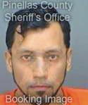 Arce Michael - Pinellas County, FL 