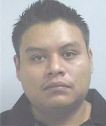 Trujillo Rafael - Henry County, GA 