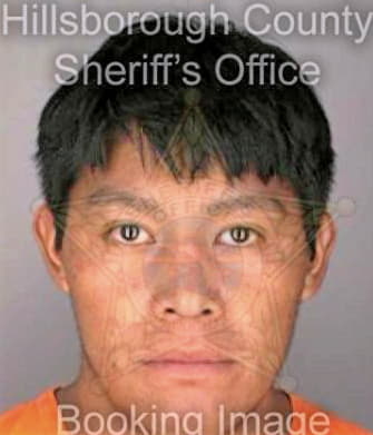 Gonzaelzperez Enrique - Hillsborough County, FL 