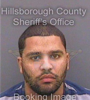 Devarez Danny - Hillsborough County, FL 