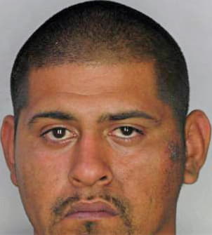 Santana Felix - Hillsborough County, FL 