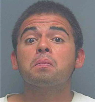Villalobos Favian - Lee County, FL 