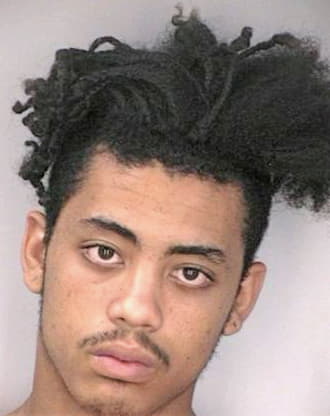 Serrano Luis - Hillsborough County, FL 