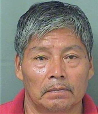 Delacruz Mario - PalmBeach County, FL 