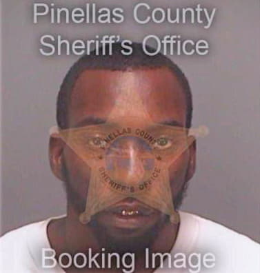 Johnson Delvin - Pinellas County, FL 