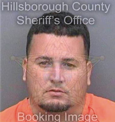 Mercadorosario Raynaldo - Hillsborough County, FL 