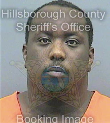 Williams Reginald - Hillsborough County, FL 